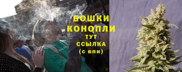 сатива Нягань